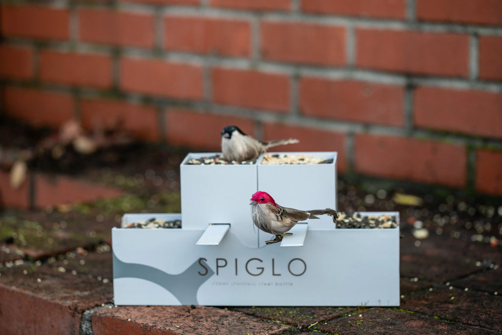 Spiglo