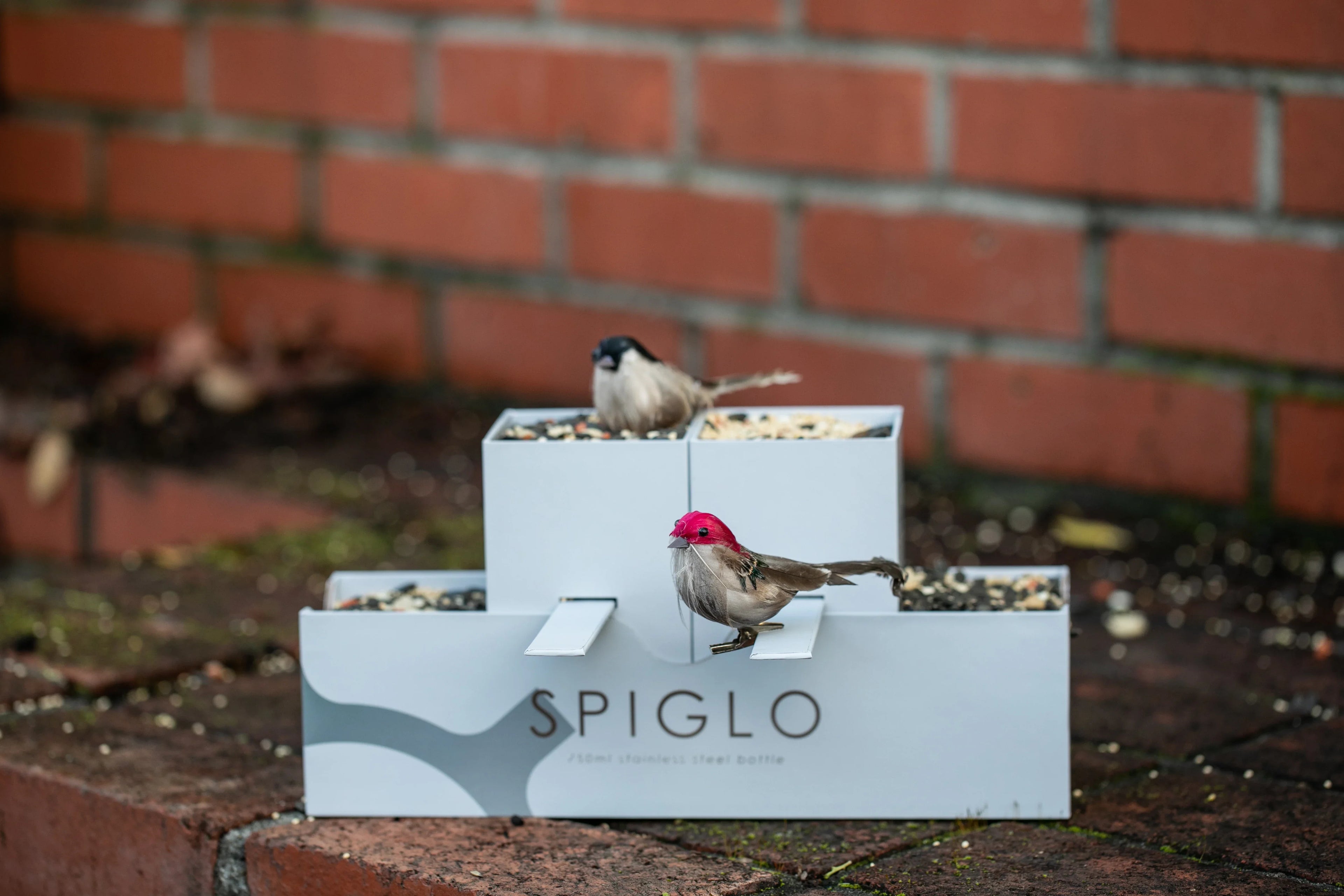 Spiglo